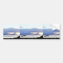 Cold Bay and Pier Bumper Sticker