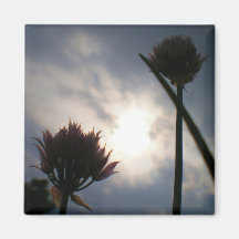 Cold Light of Morning Refrigerator Magnet