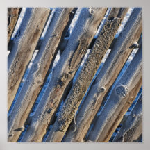 Cold winter print