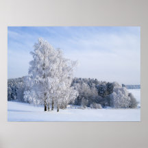 Cold Winters Day Posters