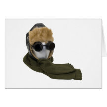 ColdWeatherAviatorKit082009 Greeting Cards