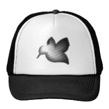 Colibri Hats