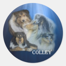 colley autocollants