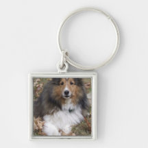 Collie Dog Keychain