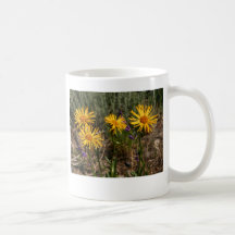 colorado 08 150 coffee mugs