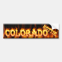 colorado hottie bumper sticker