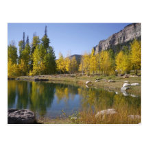 Colorado Inspirational Postcard