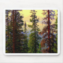 Colorado Mountain Pines Mousepads
