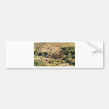 colorado Mountains Bumper Sticker