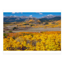 Colorado Scenic Foliage Postcards