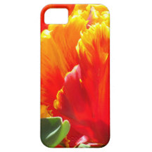 Colorburst Tulip iPhone Case iPhone 5 Cases