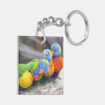 COLORFUL BIRDS