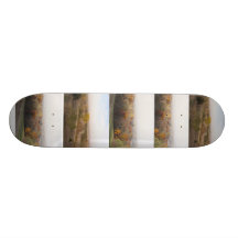 Colour of the Fall in NE Skate Board