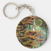 Colour Tree Key Chains
