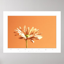 coloured flowers courage poster
