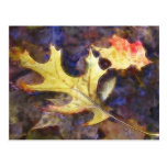 Colourful Autumn Leaves In The Creek Post Cards