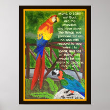 Colourful Birds 16 x 22 inch Semi Gloss Poster