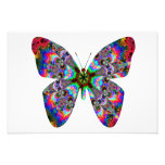 Colourful Butterfly Mandala Photograph