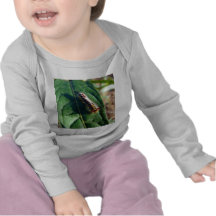 Colourful Caterpillar Tees