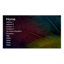Colourful Coloured feathers Business Card Templates
