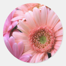 Colourful Daisies Stickers