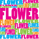Colourful Flower Photo Cutout
