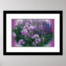 Colourful Flowers Posters