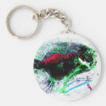 Colourful Negative Image of a Dried fish Key Chain