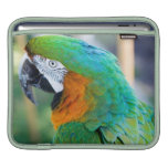 Colourful Parrot iPad Case Sleeve For iPads