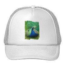 Colourful Peacock Baseball Hat