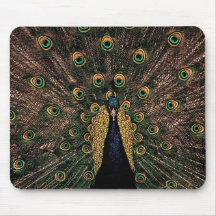 Colourful Peacock Mousemats