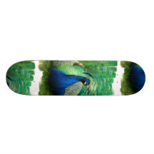 Colourful Peacock Skateboard