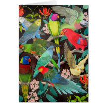 Colourful Pet Parrots of the World Card