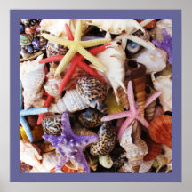 Colourful Sea Shell POSTER