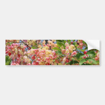 Colourful Shower Tree Blossoms Bumper Sticker