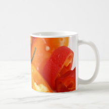 Colourful Wet Bell Peppers Mugs