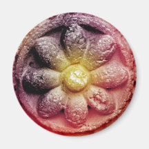 colourized flower fridge magnets