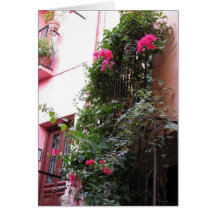 Colours of Collioure Greeting Cards