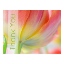 Colours of Spring Thank You Postcard