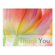 Colours of Spring Thank You Postcard
