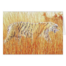 "Common Ground" Tiger in Grass Cards
