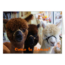Como te llamas? Notecard