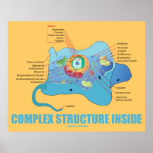 Complex Structure Inside (Eukaryotic Cell) Print