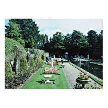 Compton Acres Italian Gardens, Poole, U.K.  flower Personalized Announcement