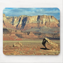 Condor Release Mousepads