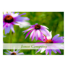Coneflowers Beautiful Floral Business Card
