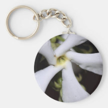Confederate Jasmine, Version B Key Chain