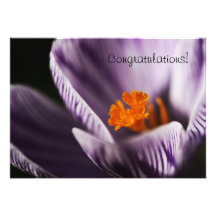 Congratulations crocus greeting card personalized invitations