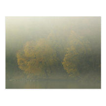 Connecticut River Foggy Foliage Postcard