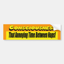 Consciousness Bumper Sticker